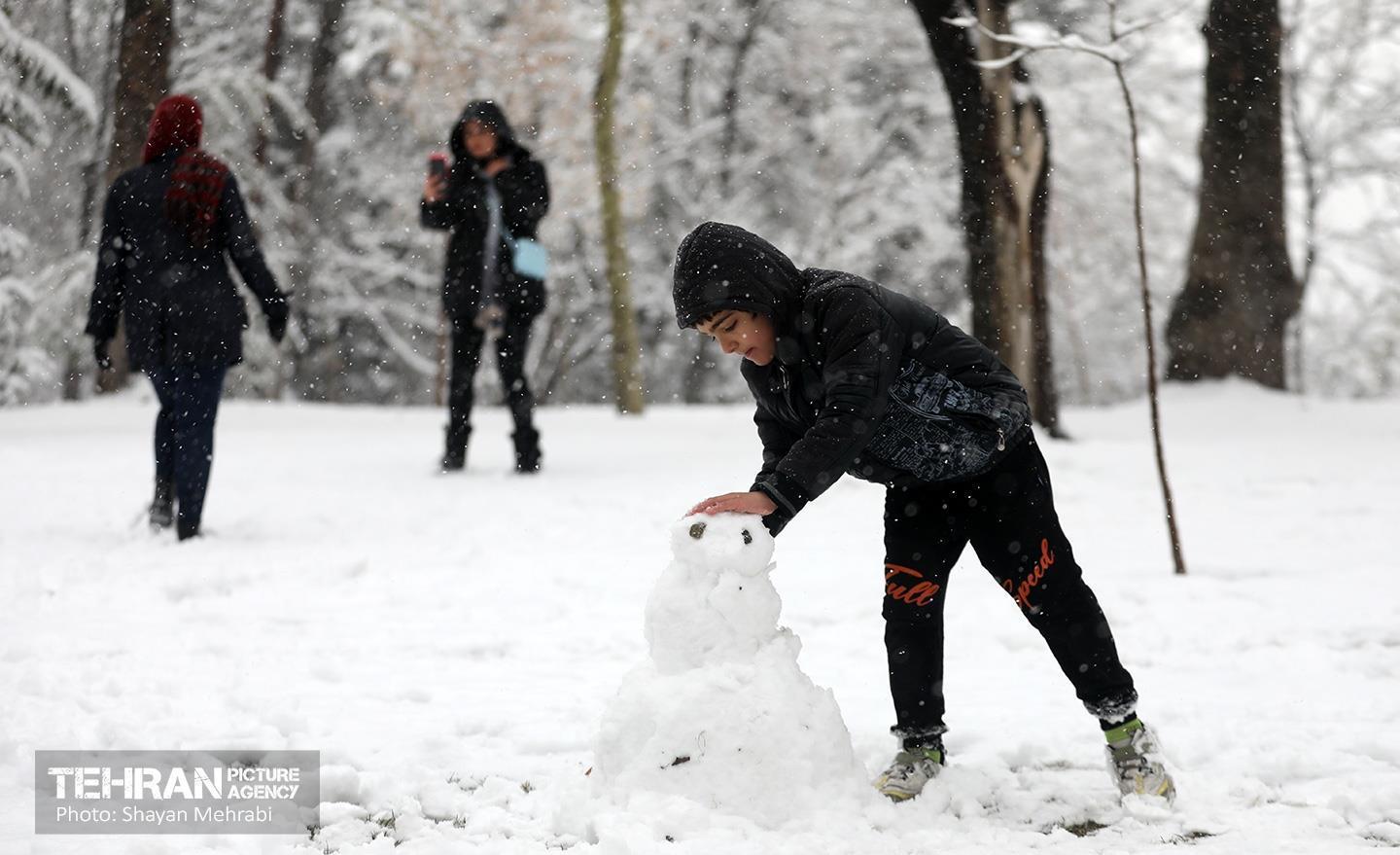 تهران برفی 8