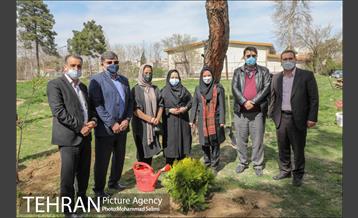 جشن نهال هاى کوچک شهر و تخم مرغ هاى رنگى در منطقه ٩