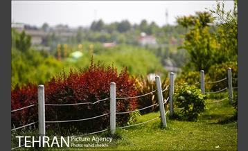 بوستان جوانمردان 16