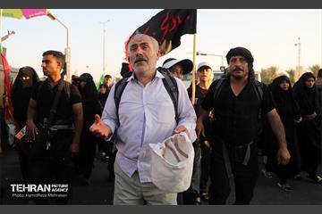 زائران حسینی؛ عمود سلام 19