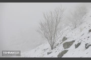 بارش برف زمستانی در تهران 11