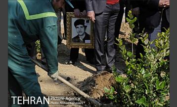 روز درختکاری در بوستان تبسم 12