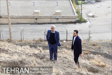 بازدید شهردار تهران از پروژه درختکاری کمربند سبز تهران  4