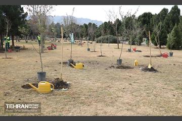 آیین پدران آسمانی  19