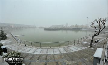 پل طبیعت سپیدپوش شد 13