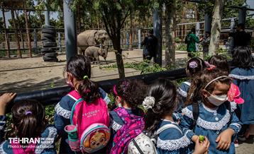 «مایسا» یکساله شد 30