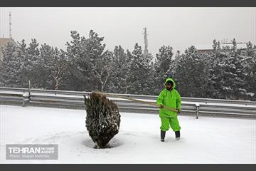بازدید اصحاب رسانه از خدمات برف‌روبی منطقه 5 شهرداری تهران 25