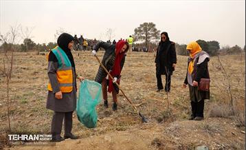 کاشت 2000 نهال مثمر در بوستان جنگلی چیتگر 11