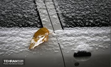 برف چهره تهران را سپیدپوش کرد 45