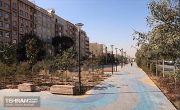 به وقت خدمت؛ باغ‌راه حضرت زهرا(س) محدوده آیت الله سعیدی 66
