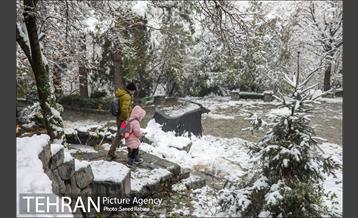 برف زمستانی پارک جمشیدیه 20
