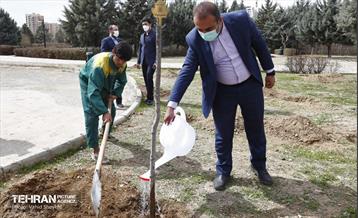 غرس ١٠٠ اصله نهال در دریاچه شهدای خلیج فارس با حضور خانواده شهدای هم محله‌ای 6