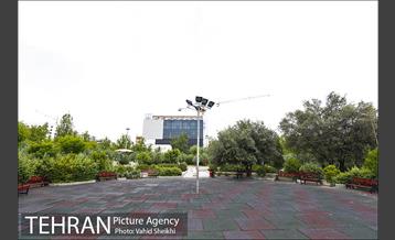 بوستان میعاد 13