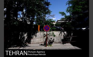 شهرنگار؛ میدان ولیعصر (عج) 23