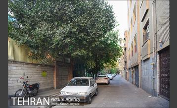 محله منیریه 30