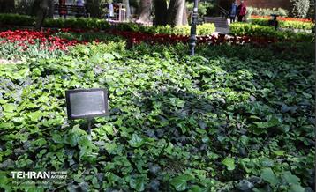 بازدید اصحاب رسانه از باغ ایرانی 6