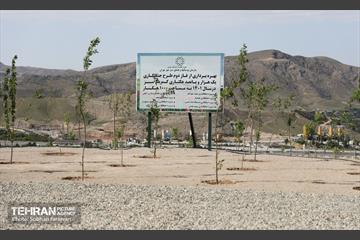 بازدید اصحاب رسانه از کمربند سبز 37