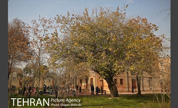 تور عکاسی باغ وثوق الدوله   44