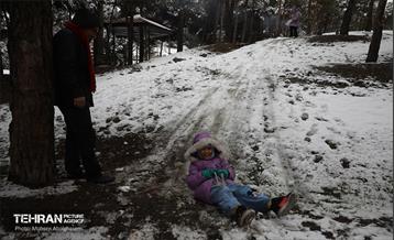 روز برفی تهران - 2 42