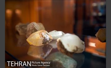 موزه علوم زمین‎ 10