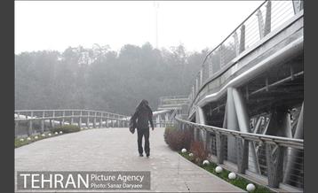 بارش باران در منطقه گردشگری عباس آباد 14