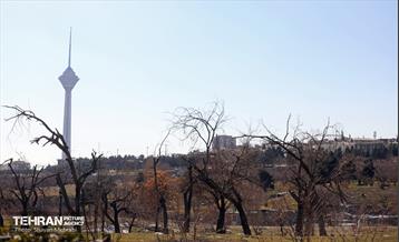 هوای تهران به مرز پاکی رسید 14
