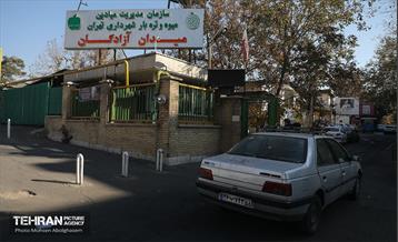 تره‌بار یلدایی 49