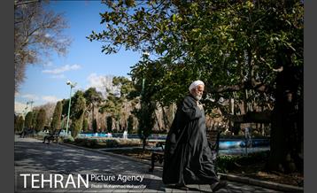 پارک شهر بعد از یک صبح بارانی 3