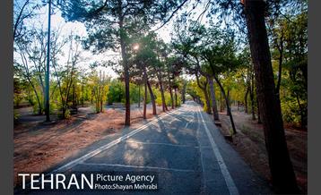 بوستان جنگلی چیتگر 28