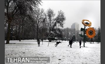 روز برفی بلوار کشاورز 8
