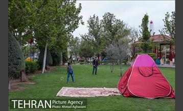 روز طبیعت بارانی در بوستان رازی 2