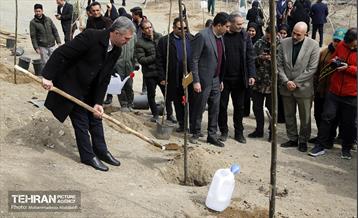 جشن درختکاری در منطقه ۵ 5