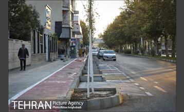 پارک خودرو‌ بین درختان چنار 16