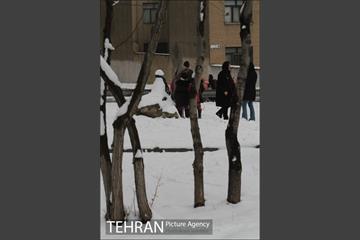 بارش برف در تهران 11