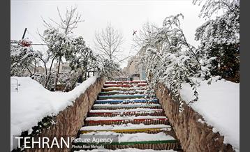 بارش برف زمستانی در تهران 9
