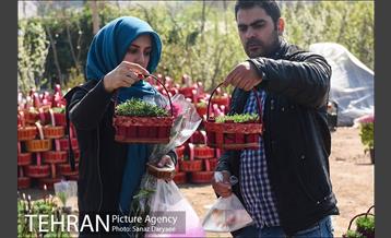 بازار گل شهید محلاتی در آستانه نوروز 36
