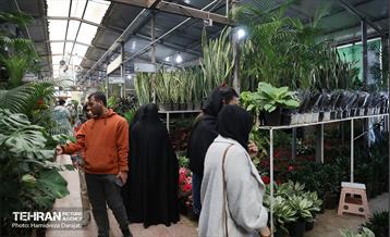 بازار گل محلاتی  27