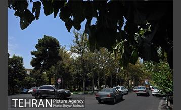 میدان هلال احمر 22