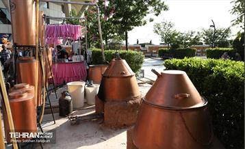 جشنواره گل و گلاب در برج میلاد 23