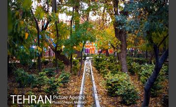 طبیعت پاییزی پارک شهر 3