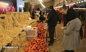 جشنواره انار در بوستان آب و آتش  4