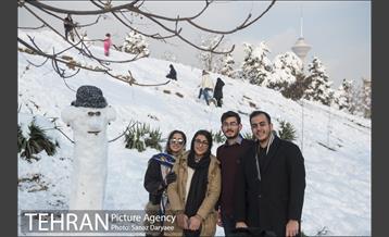 جشنواره مجسمه های برفی 15