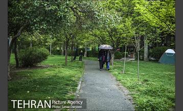 روز طبیعت بارانی در بوستان لاله 27