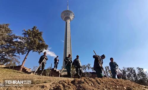 آیین کاشت گیاهان بومی پایتخت در برج میلاد 20