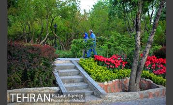 باغ ایرانی (بوستان مهندس مختاری) 24