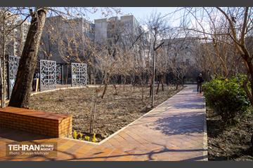 باغ گلاریس 27