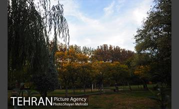 طبیعت پاییزی بوستان لاله 22