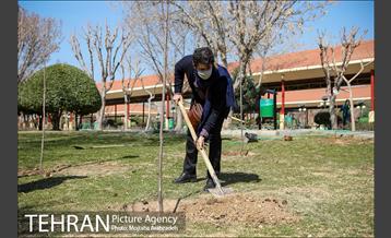 آیین درختکاری دوچرخه سواران تهران 29