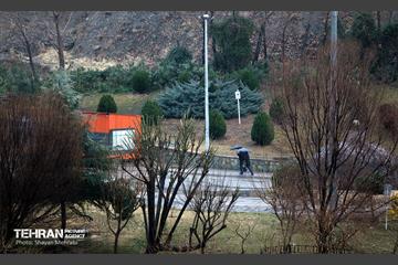 بارش باران زمستانی در تهران 34