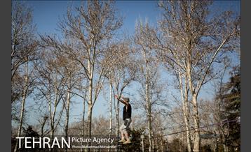 روزهای آفتابی پارک لاله 8